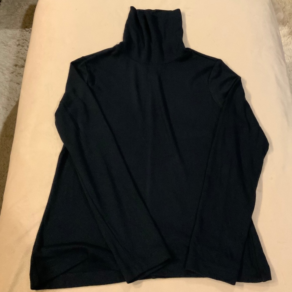 Banana Republic Blue M Soft Luxe Turtleneck Normcore Alpine Minimalist Coastal